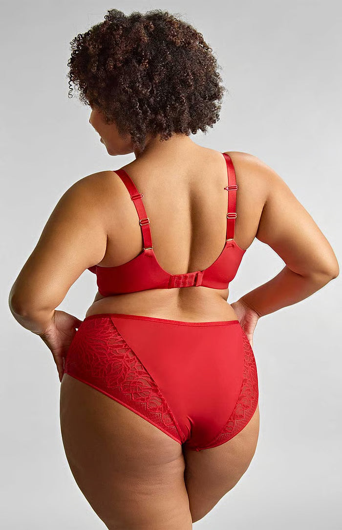 Panache Sophia Plunge Bra